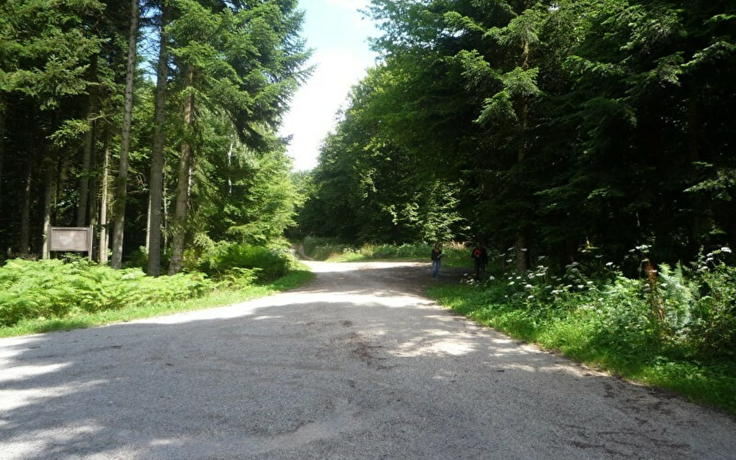 Massif de la Serre