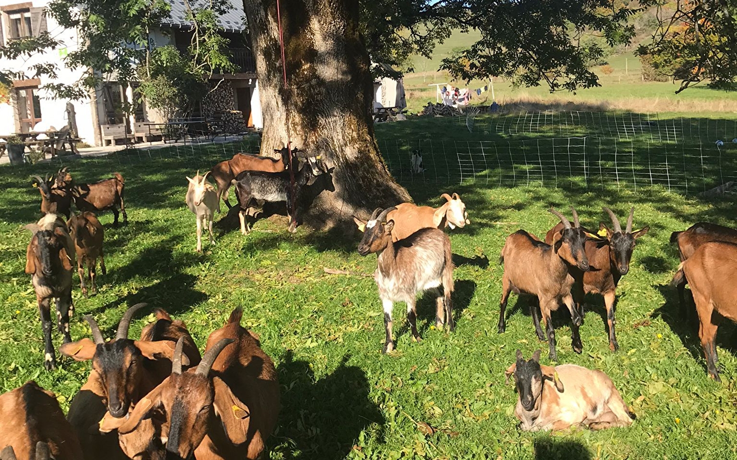 GAEC La Grange des Plans