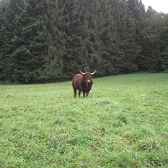 La Ferme de la Côte - AUGISEY
