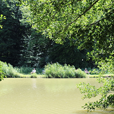 Princes Ponds circuit