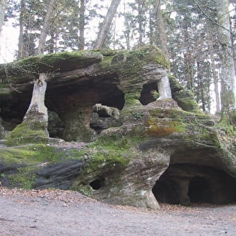 Grotte de l'Ermitage - MOISSEY