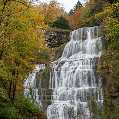 The treasures of the Jura