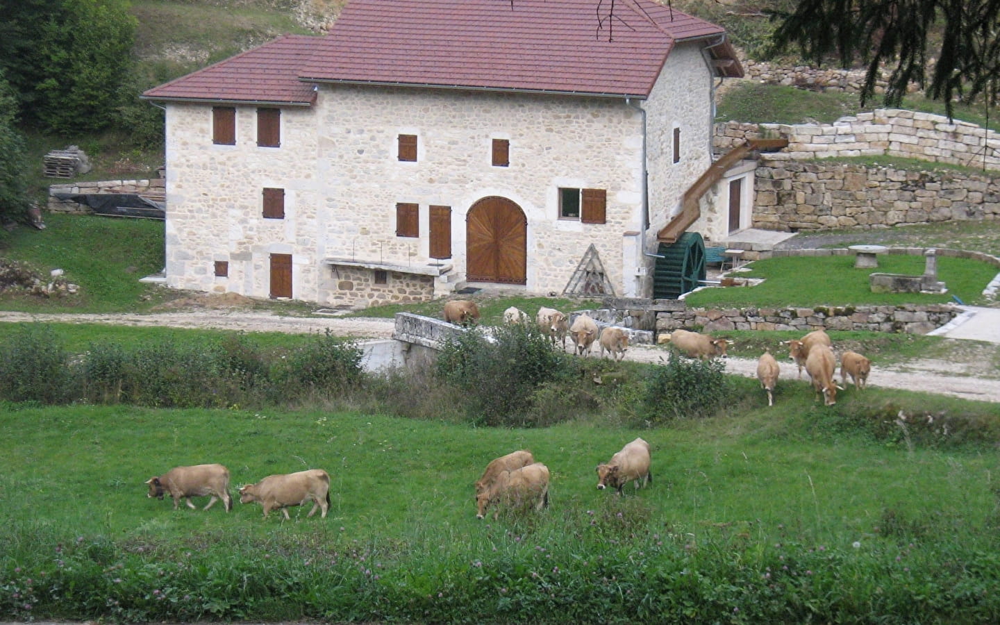 Gîte La Chenevière