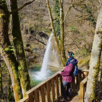 Cascade de la Dorche - CHANAY