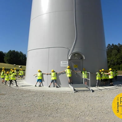 Guided tour of the Chamole wind farm