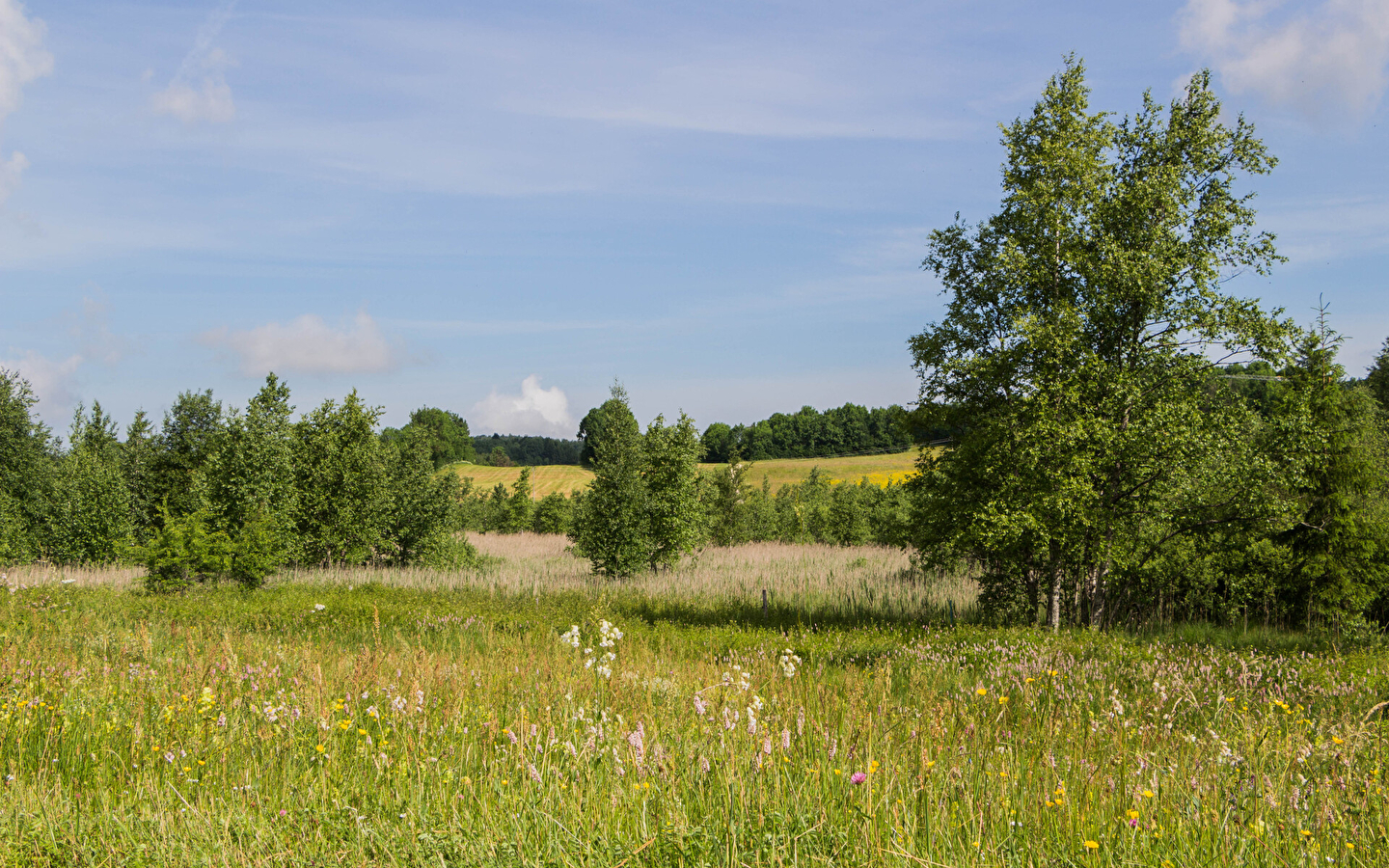 The Fort-du-Plasne lake