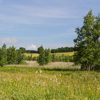 The Fort-du-Plasne lake - FORT-DU-PLASNE