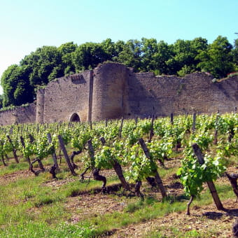 Domaine Château d'Arlay - ARLAY