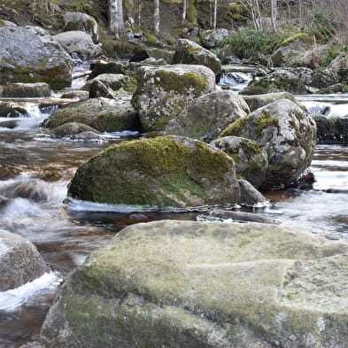 River water on tap