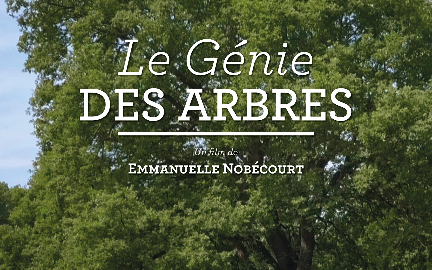 Le génie des arbres : projection - Mois du film documentaire