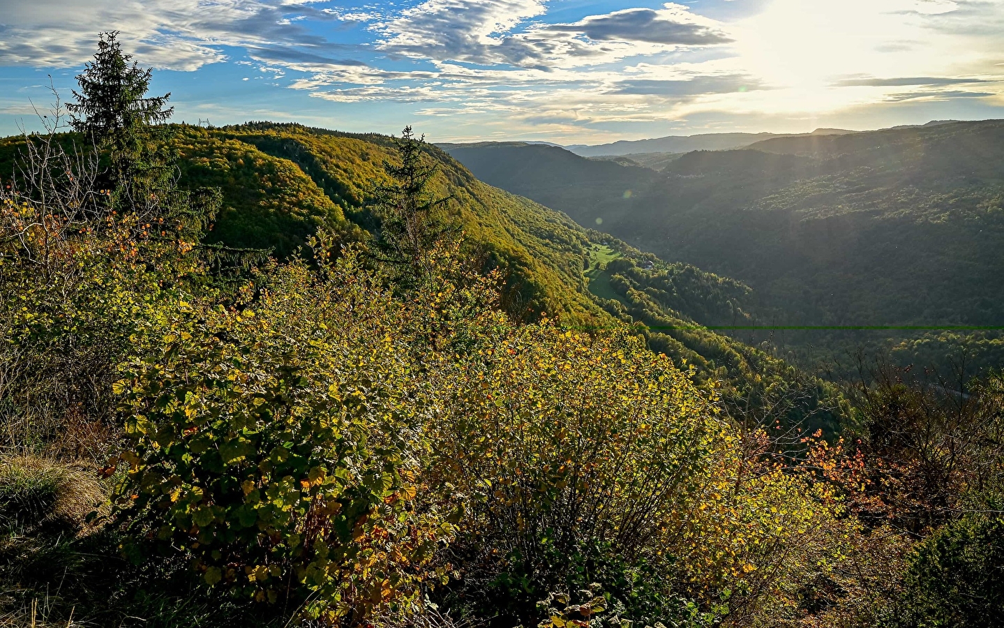 Direct access to the Cuvet