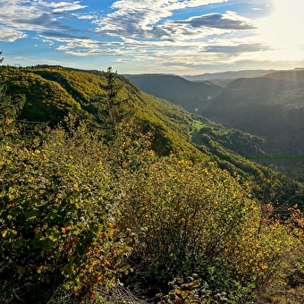 Direct access to the Cuvet - LONGCHAUMOIS