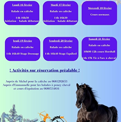 Archery on horseback