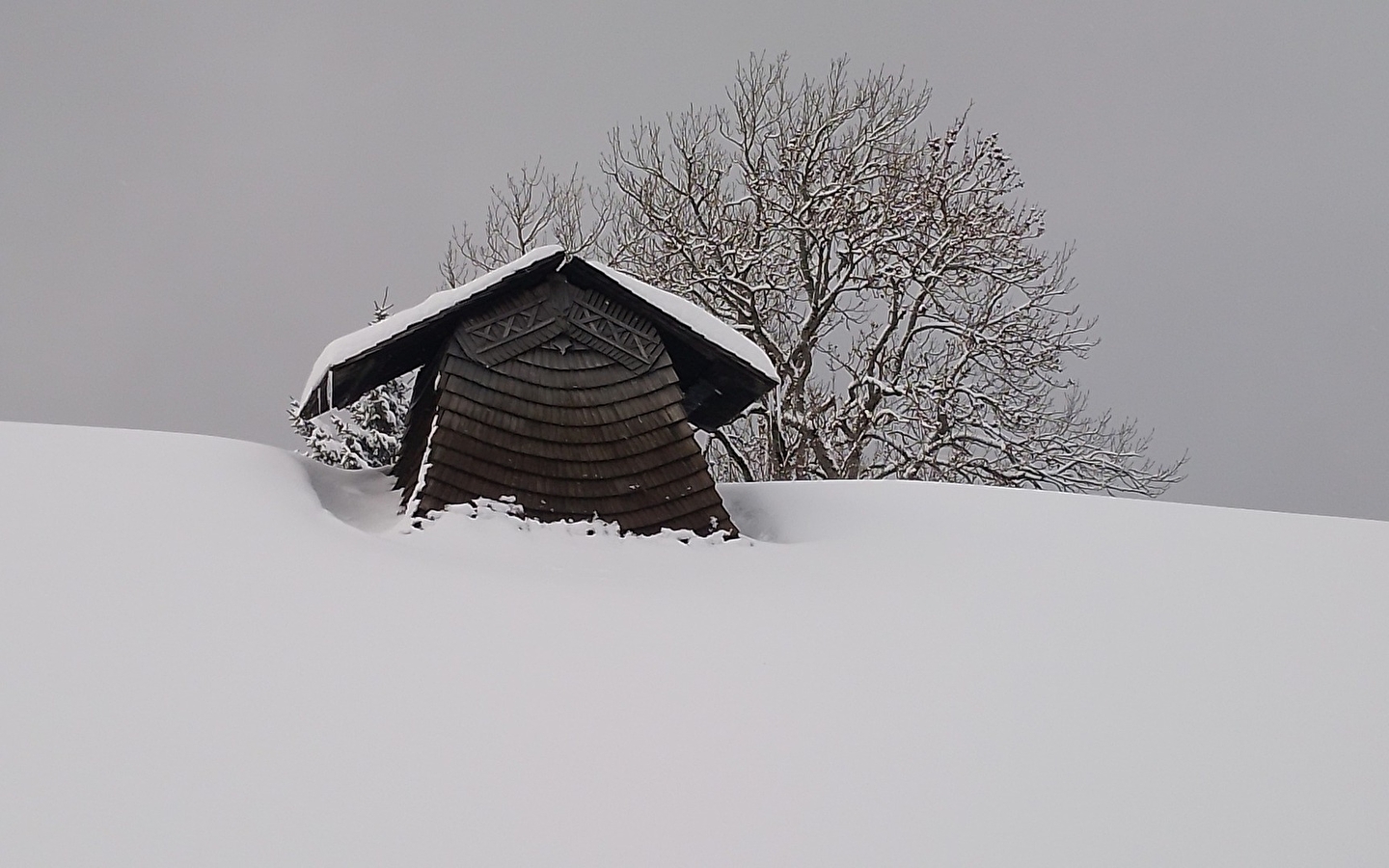 Guided tour of the Maison Michaud ecomuseum