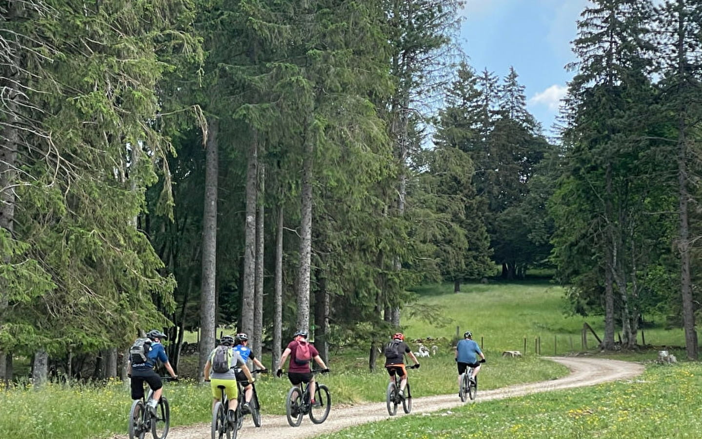 French-Swiss guided tour on a VTTAE
