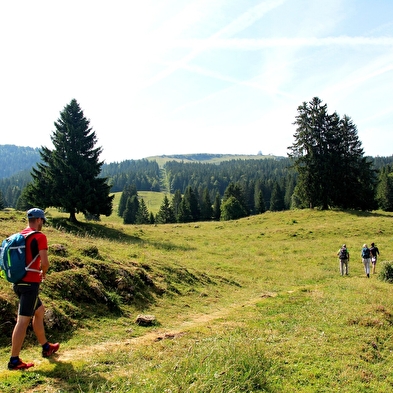 The Grande traversée du Jura on foot - GTJ pédestre