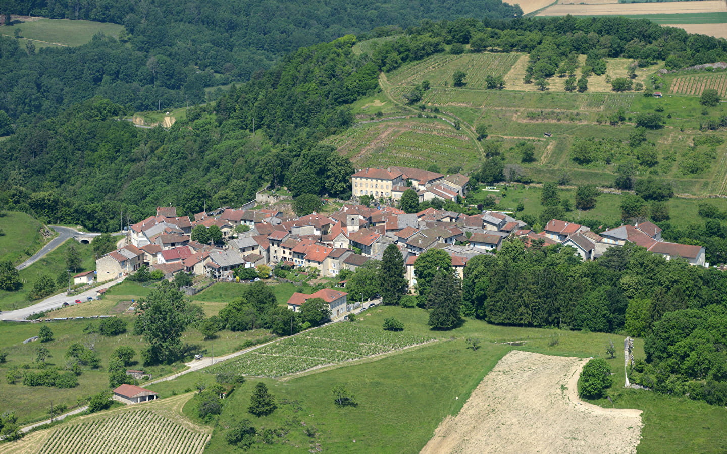 Mérignat, village viticole