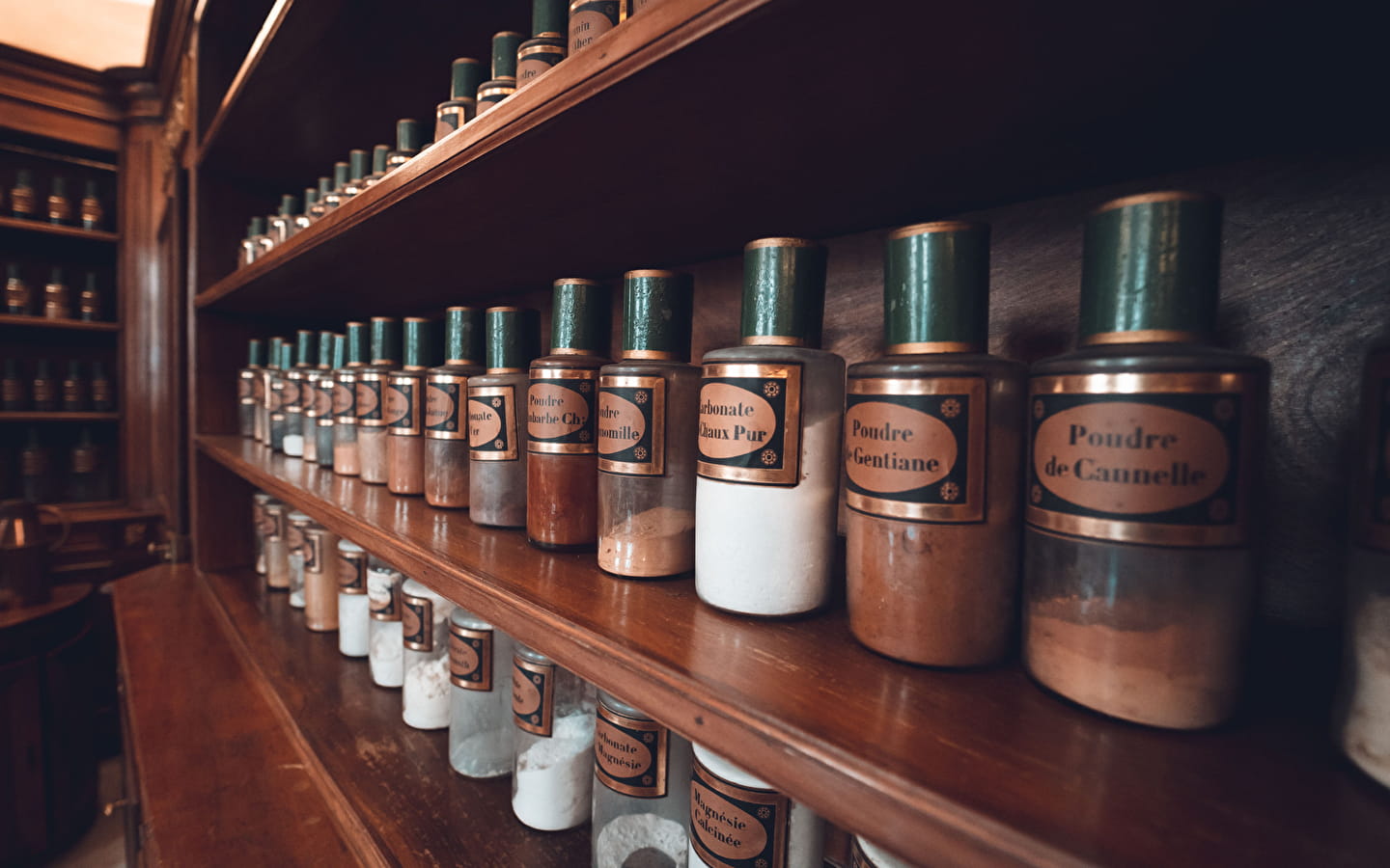 Guided tours of the Apothecary's shop