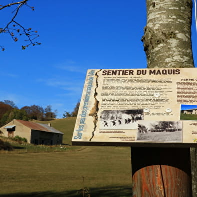 HistoireS de RésistanceS : randonnée commentée du sentier du Maquis, sur le Plateau de Retord