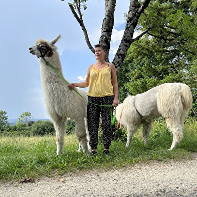 Llama trekking