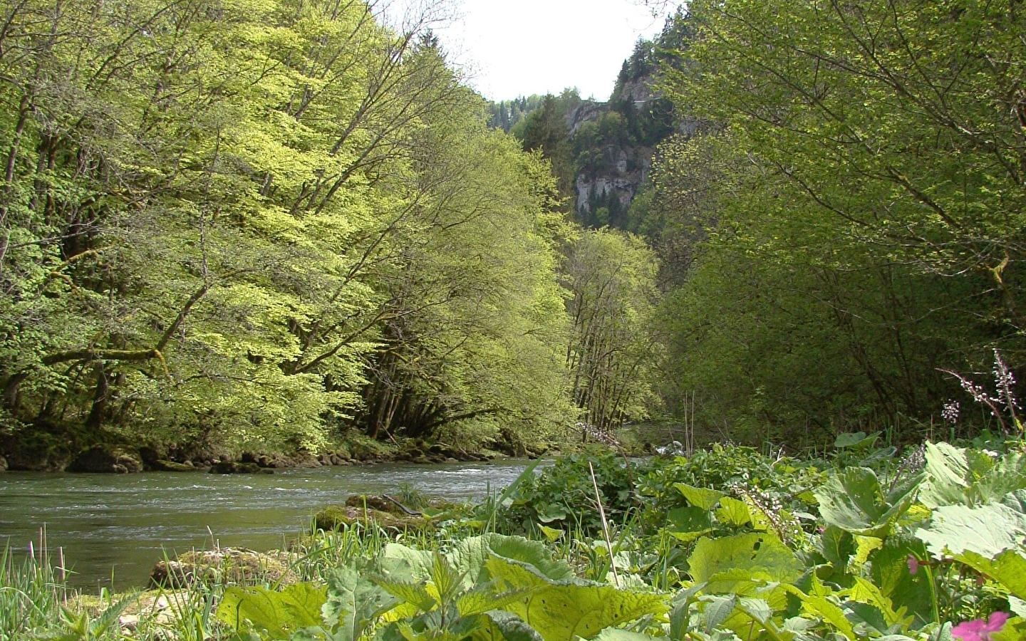 Pierre de Vorges trail