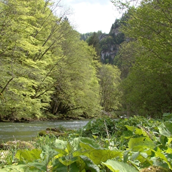Pierre de Vorges trail - GOUMOIS