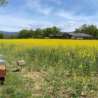 Rucher de la Bierle - PONCIN