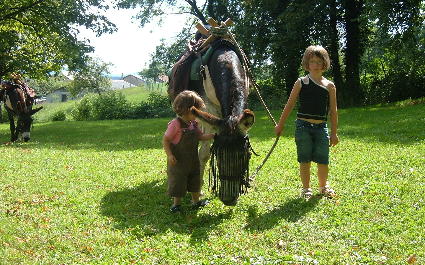 Promenade avec des ânes de bât et découverte de la ferme.