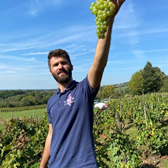 La Cave de Corentin Bouilloux - Vigneron - SAINT-MARTIN-DU-MONT