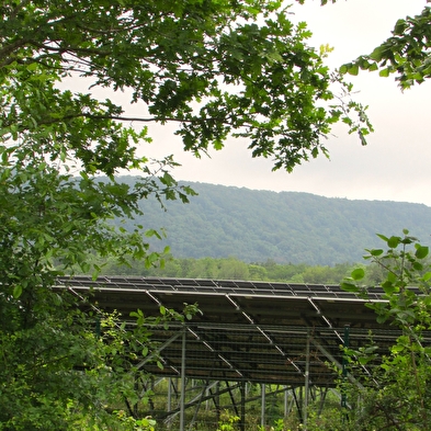 Solar farm educational trail