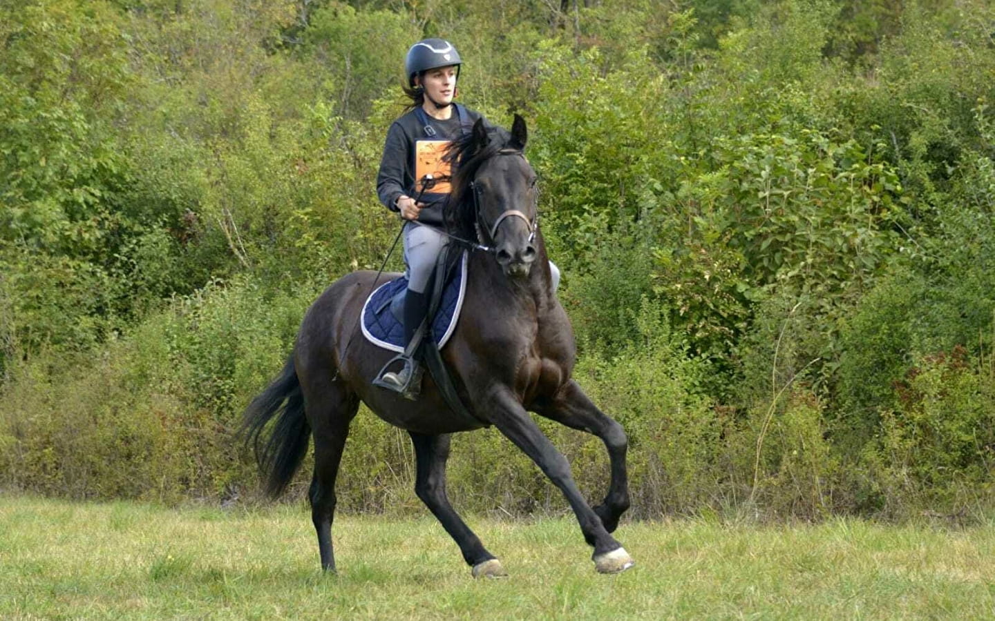 Balade à cheval à la Ferme équestre de Lavant