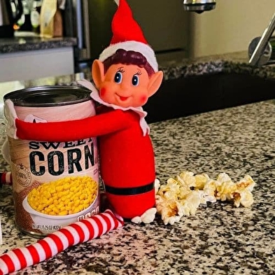 Le retour de la maison des Lutins Coquins