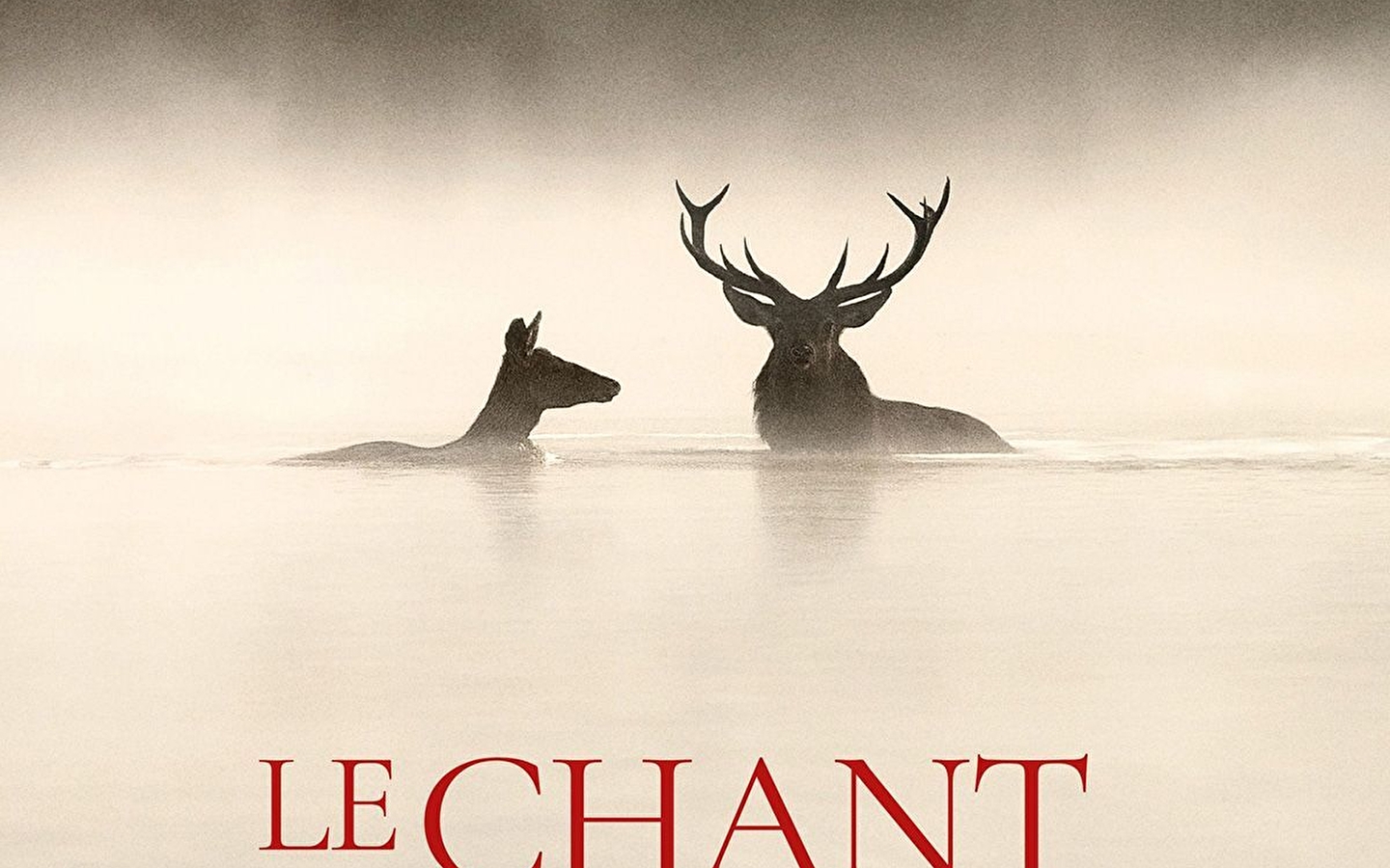 Séance de cinéma 'Le Chant des forêts'