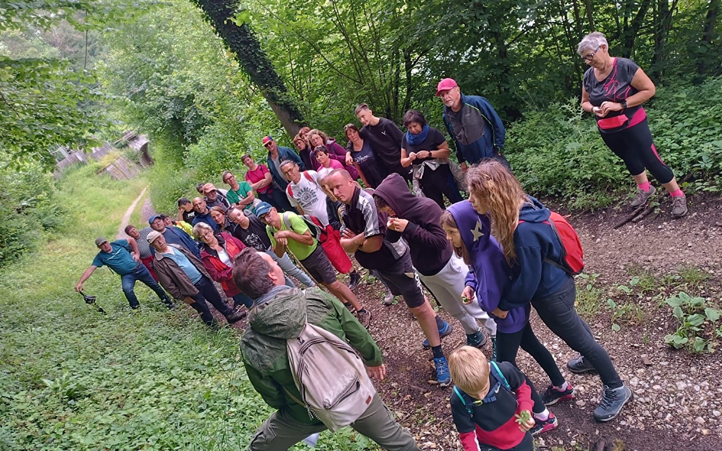 Botanical walk