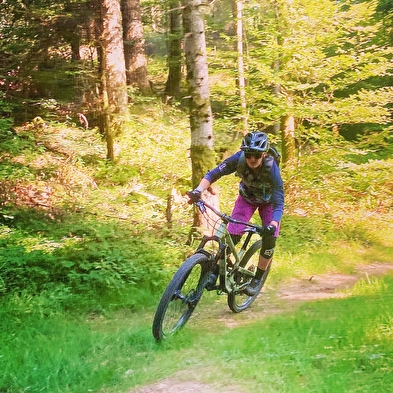 Les Navettes du Bike Park