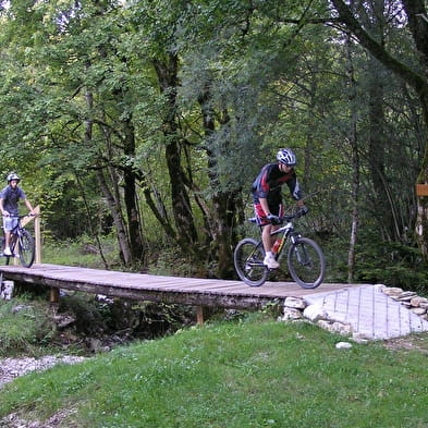 Circuit VTT n°1 - L'étang des Lésines - Hauteville Lompnes