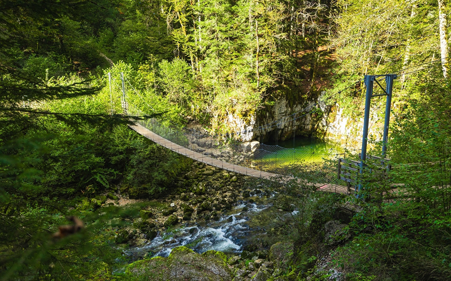Discovery tour of Bienne