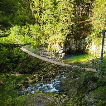 Discovery tour of Bienne - HAUTS DE BIENNE