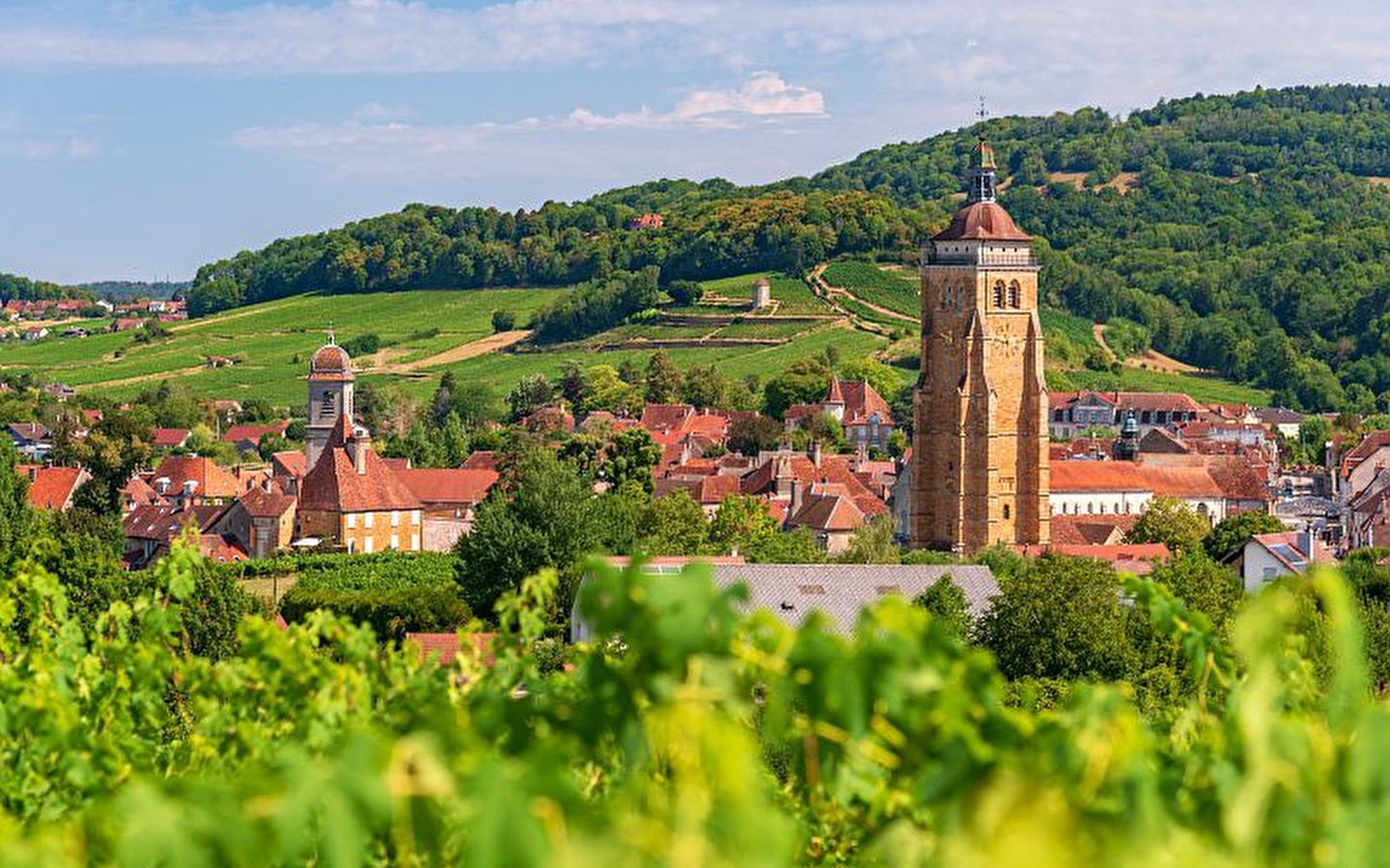 Getaway in the JURA: terroir and comté