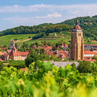 Getaway in the JURA: terroir and comté -