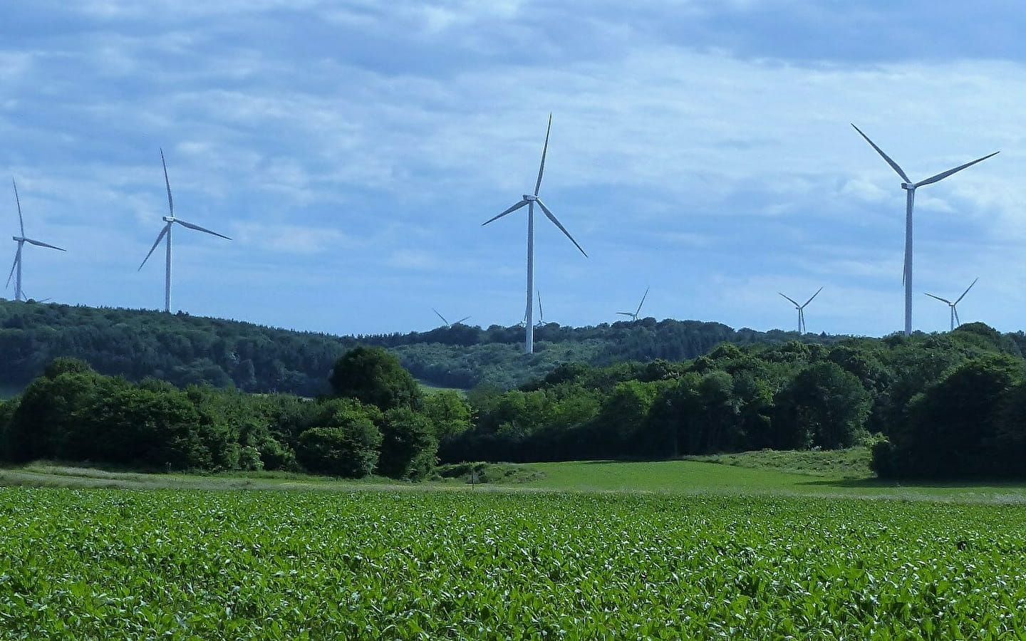 Fontenelle-Montby wind turbine discovery trail