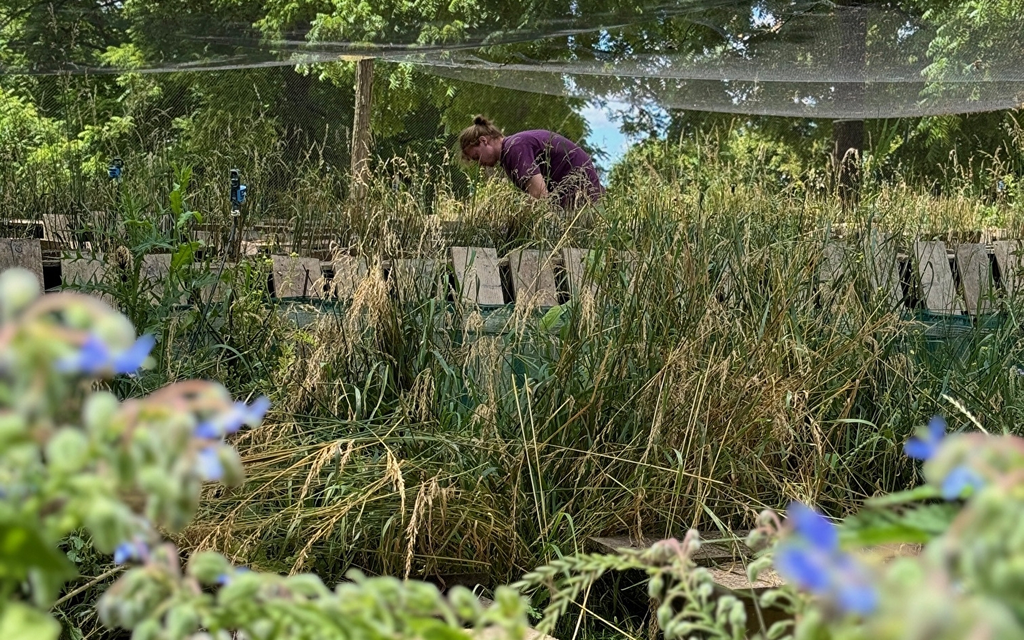 Visit the snail farms and taste farm products