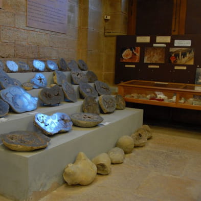 Musée de Paléontologie Géologie et des Minéraux