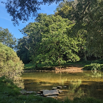 Mount guillon walking loop