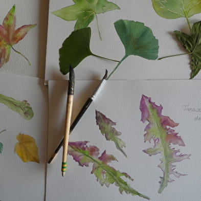 Visite botanique et atelier aquarelle