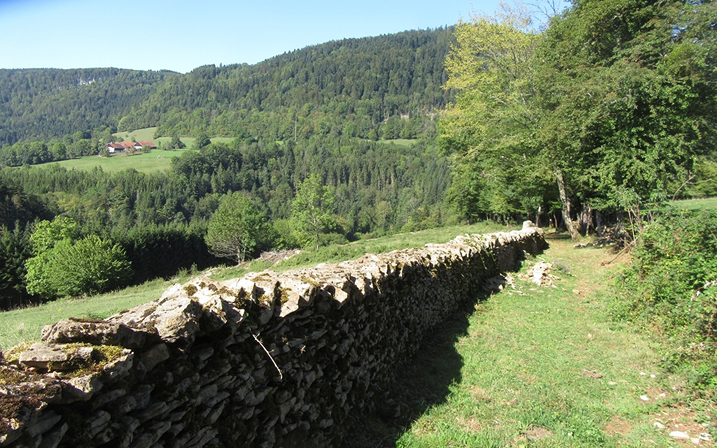 Stone wall(s)