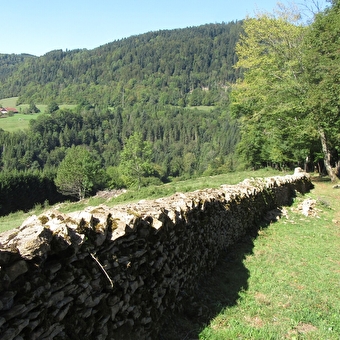 Stone wall(s) - LAVAL-LE-PRIEURE