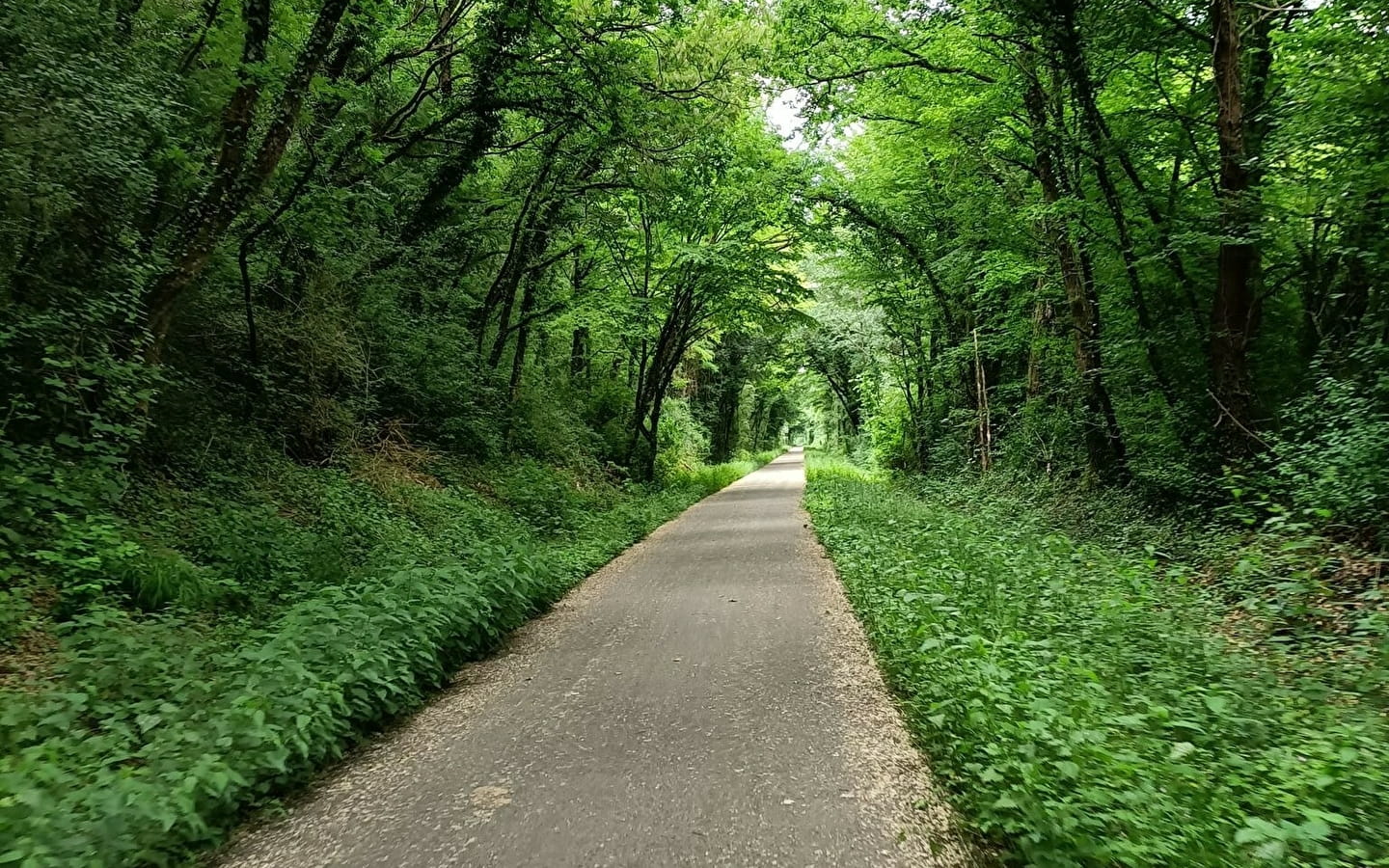 Bois des Cantons circuit