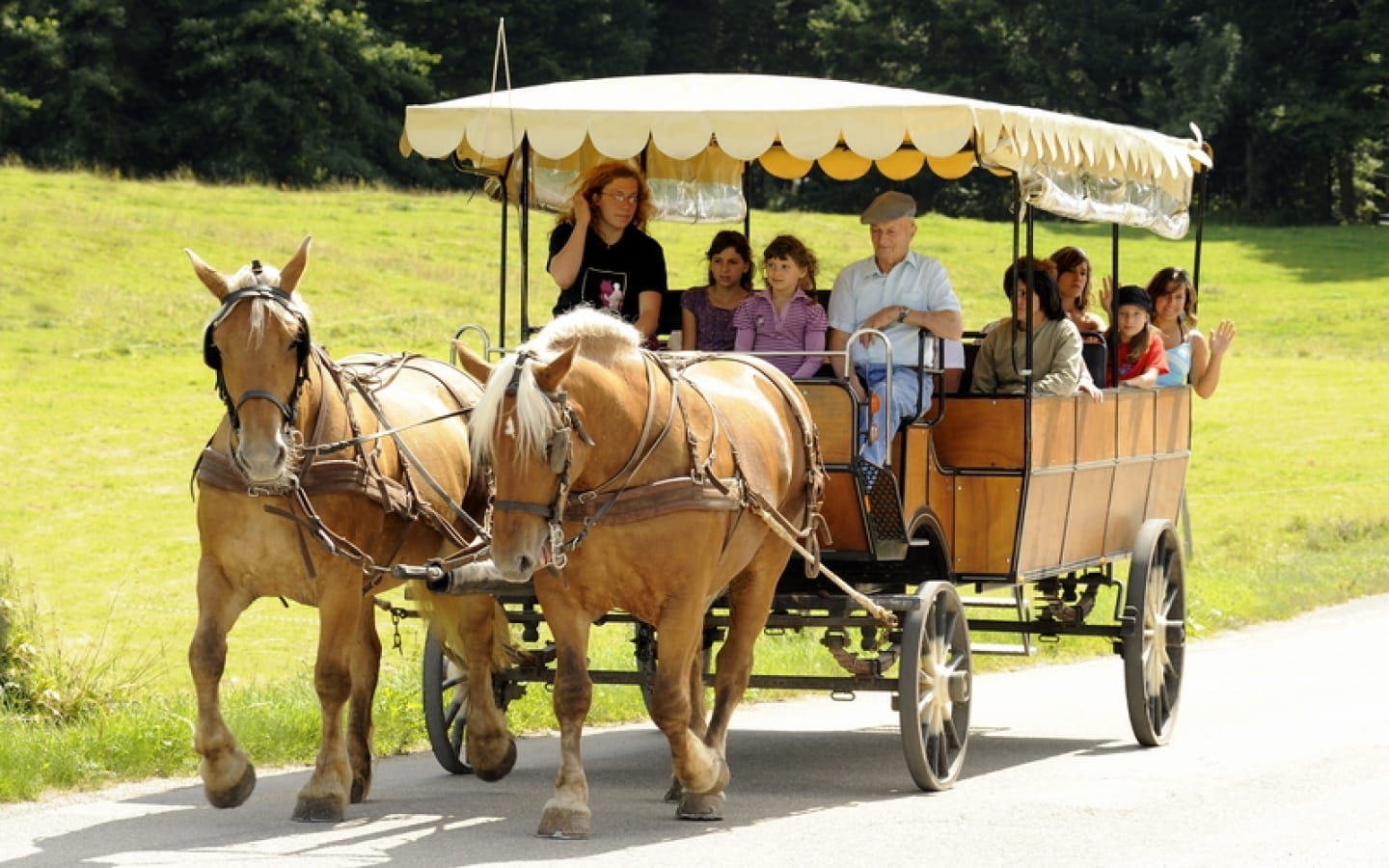 Les Calèches du Saut du Doubs