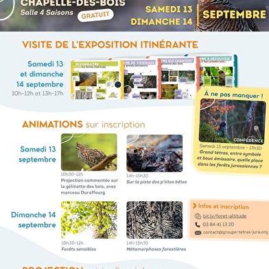 High altitude forests, forests of links: exhibition, events, projection